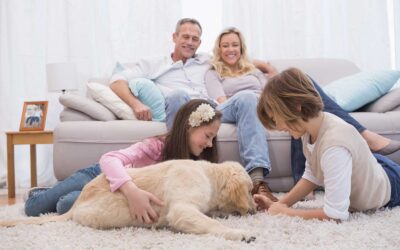 Want Cleaner Indoor Air? Assess Your Indoor Air Quality